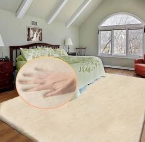 lot 41594 image: Light Brown Beige Plush Shag Area Rugs 8x10 Rugs for Living Room Boho Fluffy Large Rabbit Fuzzy Fur Rug for Bedroom Nursery Rug