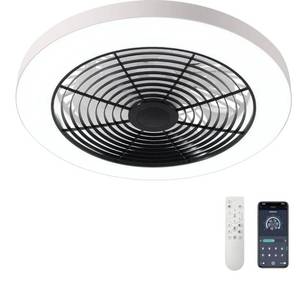 lot 41622 image: Orison Ceiling Fans with Lights, Low Profile Ceiling Fan with Lights and Remote, 6 Wind Speeds Smart Flush Mount Ceiling Fan for Bedroom, Kids Room and Living Room 19.7 (Black)