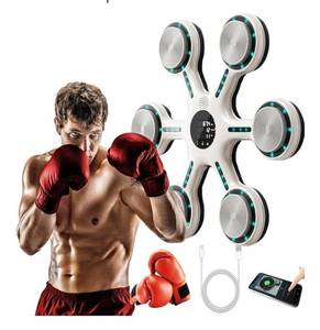 lot 60465 image: Music Boxing Machine, Smart Music Boxing Machine with Bluetooth, Home Wall-Mounted Training Gear, Boxing Training Punching Equipment with Gloves, Fitness and Reflex Improvement1