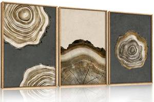 lot 100121 image: FACTORY SEALED - Ausril Tree Ring Framed Canvas Wall Art Set of 3- Brown and Gray Abstract Wood Tree Ring Print, 16�24 Modern Wall Decor for Living Room Bedroom Office - Vintage Minimalist Gray Wood Painting