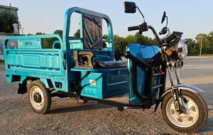 lot 5393 image: 2025 IRET13 High-End Electric Tricycle 800W 60V20A - Dump Bed - Speed Regulating & Boosting Device to Ensure Strong Output Power - Very Powerful - LCD Panel - LED Headlights