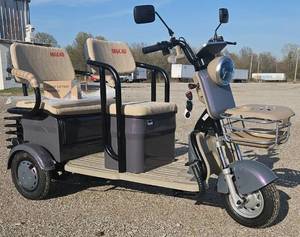 lot 5419 image: UNUSED 2025 - Purple Mini Golf CartTrike IRGC40 - Wall Charger - Remote Security System - Lights - Horn - Under Seat Storage - Small But Powerful Some Assembly Required