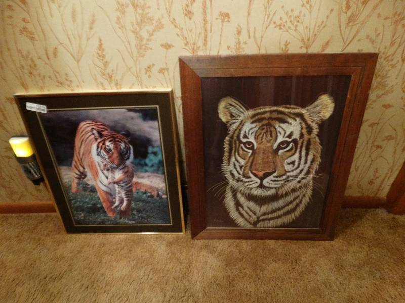 lot 12916 image: 2 framed Tiger prints- 1 is scratchboard
