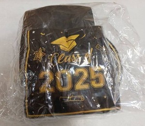 lot 23363 image: Class of 2025 200pcs Plates and Napkins