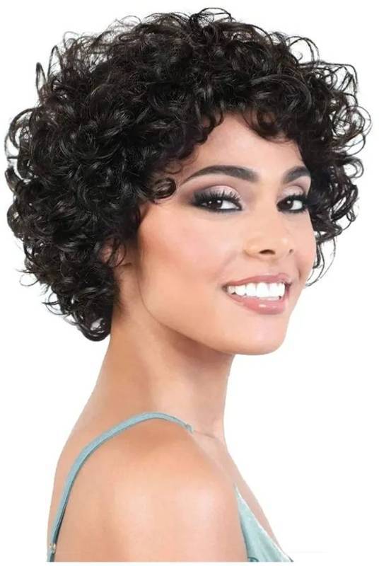 lot 22761 image: HUA Short Curly Wigs for Black Women Human Hair Pixie Cut Bouncy Curly Human Hair Wigs for Black Women Glueless Natural Black Color Short Curly Wigs