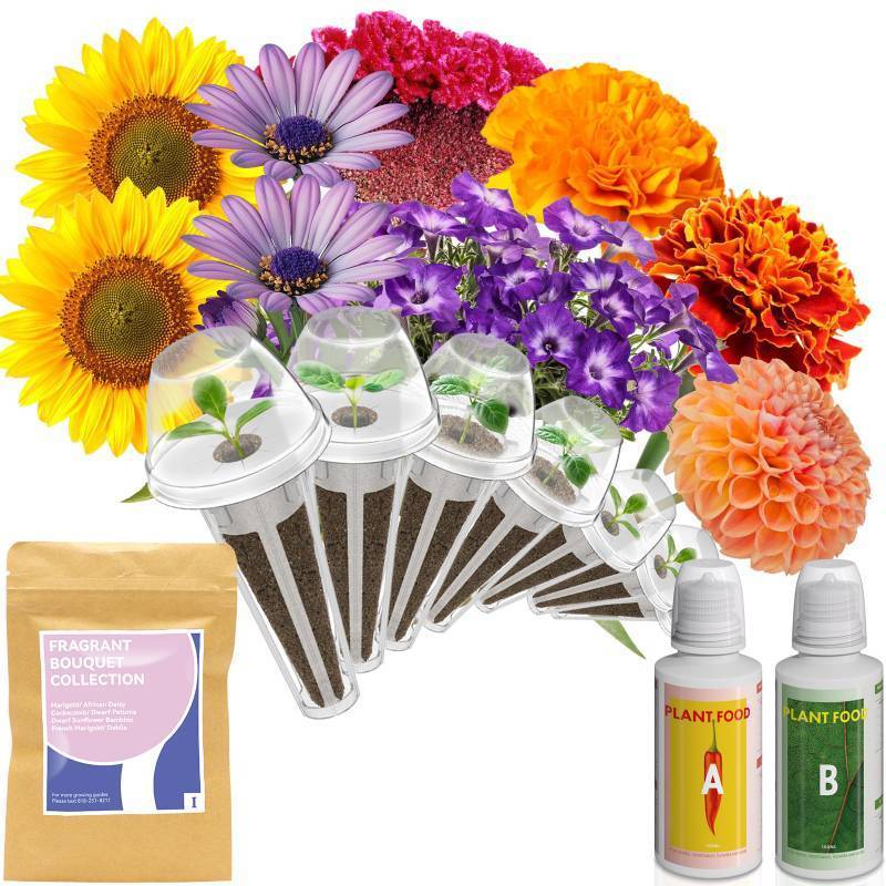 lot 51981 image: Fragrant Bouquet Seed Pod Kit for AeroGarden, iDoo, Ahopegarden, GARDENCUBE, 7 Pods (350 Flower Seeds with Sunflower, Petunia, Mexican Marigold, Cockscomb, French Marigold, Dahlia)