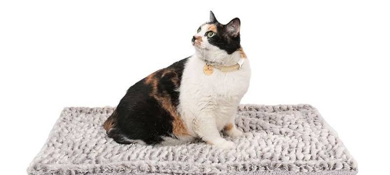 lot 52053 image: Self Heating Cat Pad Self Warming Bed 27.5 x 18.5 Thermal Cat Mat Extra Warm Pet Mat for Outdoor and Indoor Large Kittens Small Puppy Pets