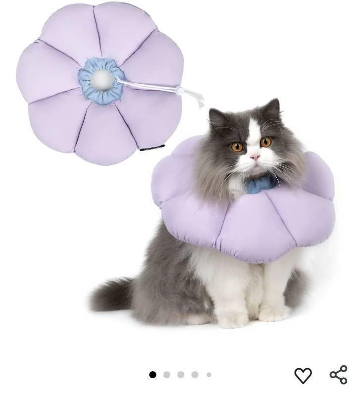 lot 31372 image: Cat Cone Collar, Cute Waterproof Cat Recovery Collar, Anti-Bite Lick Wound Healing Safety Elizabethan e Collar for Cats, Purple Flower All-Season Style, MEDIUM