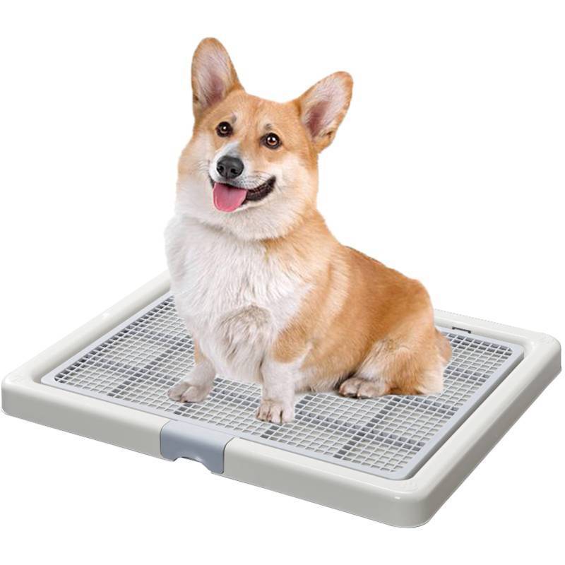 lot 13155 image: Smart Paws Corgi Potty Training Toilet, French Bulldog Training Tray, Pet Pads Holder, Dog Toilet 65X52CM - Retail $42