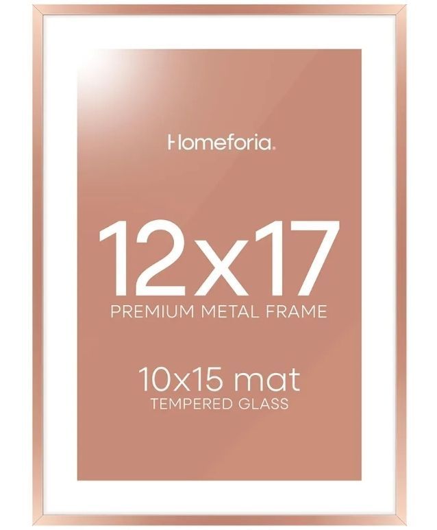 lot 32117 image: Homeforia 12x17 Picture Frame Rose Gold, High End Metal 12x17 Poster Frames with Mat 10x15 Photo, 12 x 17 Rose Gold Frame Matted to 10 by 15 Print, 17x12 Thin Frame, Tempered Glass, Wall Kit. DAMAGED.