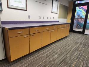 lot 20336 image: Commercial Grade Storage Cabinet Set with Purple Countertop