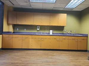 lot 20338 image: Complete Commercial Laboratory Cabinet Set