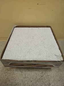lot 20444 image: USG 707 Glacier Basic Acoustic Ceiling Tiles - White
