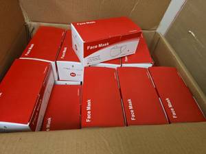 lot 13137 image: Titan Alliance Disposable Face Masks - Bulk Box of 50