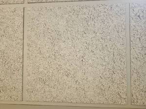 lot 50039 image: (200) Ceiling Tiles