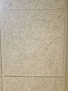 lot 50041 image: (200) Ceiling Tiles