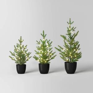 lot 2697 image: 3pc Pre-lit Potted Balsam Fir Mini Artificial Christmas Tree Set Warm White Lights - Wondershop LED, Timer, IndoorSheltered Outdoor - Retail $115