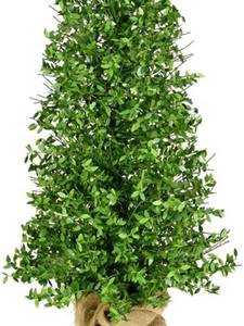 lot 2699 image: Artificial Boxwood Topiary Tree with Burlap Base