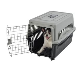 lot 6476 image: Pet Portable Kennel for Dogs, Hard-Sided Travel Carrier