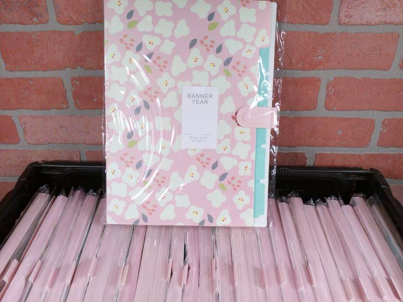 lot 60 image: Skydue Plastic 5-Pocket File Folder With Tabs & Snap Closure