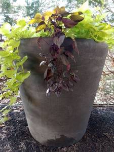 lot 6010 image: Lot of 2, 4ft tall 4ft in diameter outdoor Indoor plastic planters