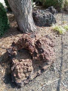 lot 6012 image: Lot of outdoor garden Volcanic rock largest is 5 foot