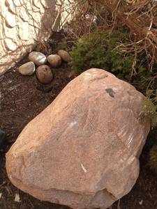 lot 6121 image: Natural Landscape Garden Set with Decorative Volcanic (Largest is 6) and Granite (Largest is 3 27)  Rocks, 7 Yew Shrubs, 8 Juniper Shrub  - Retail $750