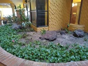 lot 6124 image: Zen Garden Landscape Design Set  - Retail $299