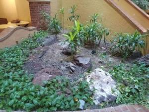 lot 6128 image: Natural Stone Garden Path with Ground Cover  - Retail $350