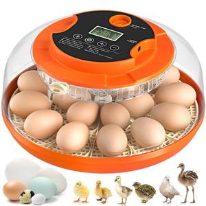 lot 23546 image: 18 Egg Incubator with Automatic Egg Turning and Humidity Control, Incubators for Hatching Eggs, Chicken, Ducks, Goose, Pigeon, Quail, Parrot Incubator for Farm, Lab, Science Classroom, Home (Orange)