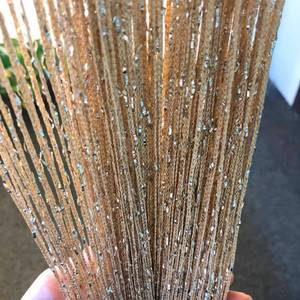 lot 33961 image: 2 Pack 39 x 79 Inch String Curtains Door, Hippie Room Decor Beaded Curtains For Doorway, Closet Curtains, Room Divider Privacy Decor, Boho Home Decoration For Bedroom, Party, Champagne