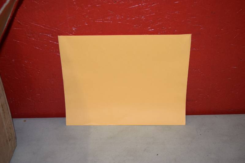 lot 100 image: 500 Kraft Envelopes