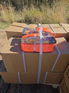 lot 10364 image: Heavy Duty Ratchet Tie Down Strap - Orange