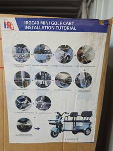 lot 10887 image: IRGC40 Electric Mini Golf Cart - 2-Seater Purple
