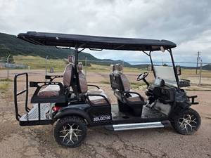 lot 10180 image: New Six Person Luxury Electric Golf Cart SDLGC100