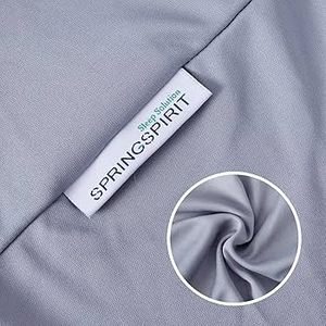 lot 10282 image: SpringSpirit Box Spring Cover - Grey - Twin
