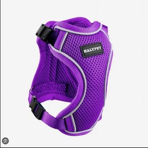 lot 16455 image: Halypet No Escape Harness (Purple, Small, with Leash)