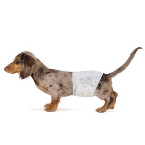 lot 13069 image: Amazon Basics Absorbent, Leakproof Male Dog Wrap Disposable Diapers, Small, Pack of 50, White - Retail $20