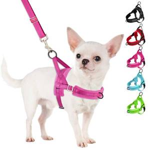 lot 6379 image: SlowTon No Pull Small Dog Harness and Leash Set, Puppy Soft Vest Harness Neck and Chest Adjustable, Reflective Lightweight Harness and Anti-Twist Pet Lead Combo for Small Medium Dogs (Fuchsia, XS) - Retail $15