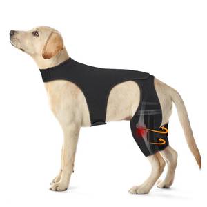 lot 2177 image: Pawfun Dog Knee Brace for Torn ACL Hind Leg � Adjustable Dog Leg Braces for Both Back Legs with 4 Stabilizers, Strong Support for Torn CCL, Luxating Patella, Ligament Injuries, Hip Dysplasia,L - Retail $80