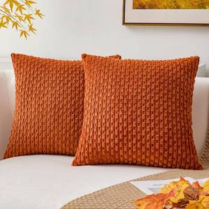 lot 2225 image: Kevin Textile Fall Pack of 2 Corduroy Decorative Throw Pillow Covers 22x22 Inch Soft Boho Striped Pillow Covers Modern Farmhouse Home Decor for Sofa Living Room Couch Bed Rust - Retail $16