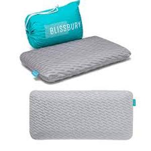 lot 13106 image: Blissbury pillow - Retail $15