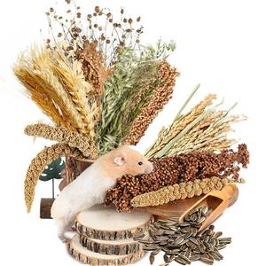 lot 2419 image: NICERINC PET Natural Ear of Grain FlowerandHerb Bedding Mate Habitat Decor, Adding Fun Hamster Accessories for Hamsters Gerbils Lemming - Retail $27