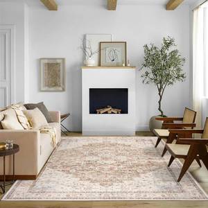 lot 15949 image: BILEEHOME Boho Farmhouse Bedroom Rug Washable Easy Clean Stain Resistant Vintage Country Rustic Neutral Persian Area Rug for Dining Room Under Table,Light Tan Brown Beig with Terracotta Pattern,5x8 - Retail $52