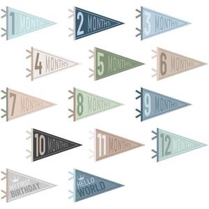 lot 16246 image: VitalCozy 14 Pcs Baby Milestone Pennant Signs Monthly Milestone Banner Flags Pennant Triangle Banner Age Flag Signs for Boy Girl Newborn Birthday Party Decor(Ocean Color) - Retail $25