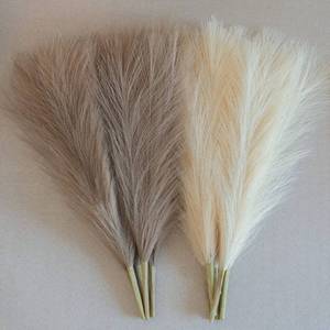lot 16258 image: EVODIS Faux Pampas Grass, 1845cm Artificial Pampas Grass Fluffy 6 Stem pompous Grass Flower Arrangement for Boho Home Wedding Decoration (Beige,Taupe) - Retail $12in