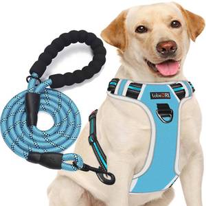 lot 13216 image: No Pull Harness with A Free Heavy Duty 5ft Leash for Medium Large Dog Adjustable Reflective Oxford Easy Control (L (Neck 18-25.5in, Chest 25.5in-31in), BlueGrey HarnessLeash) (used) - Retail $29in