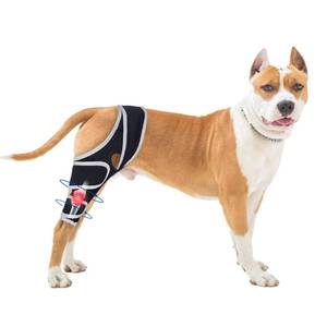 lot 14323 image: Dog Knee Brace for Torn Acl Hind Leg - Relieves Ligament Injury and Joint Pain, Adjustable Leg Support Bracket for Warmth and Support, Universal Dog Knee Brace for Four Legs, XL. - Retail $54