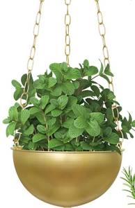 lot 20413 image: Hanging Planters For Indoor Plant Decorative Window Wall Ceiling Hanging Pot with Drainage Indoor Outdoor, Hanging Plant Holder For Succulents Herb Fern Orchid Flower for Kitchen SINGLE - Retail $33