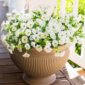 lot 20434 image: HyeFlora Artificial Flowers for Outdoors Fake Plants Outside Decoration, 12 Bundles Silk White Morning Glory UV Resistant Look Real Faux Flowers for Planter Front Door Porch Patio Yard Gardens Balcony - Retail $24